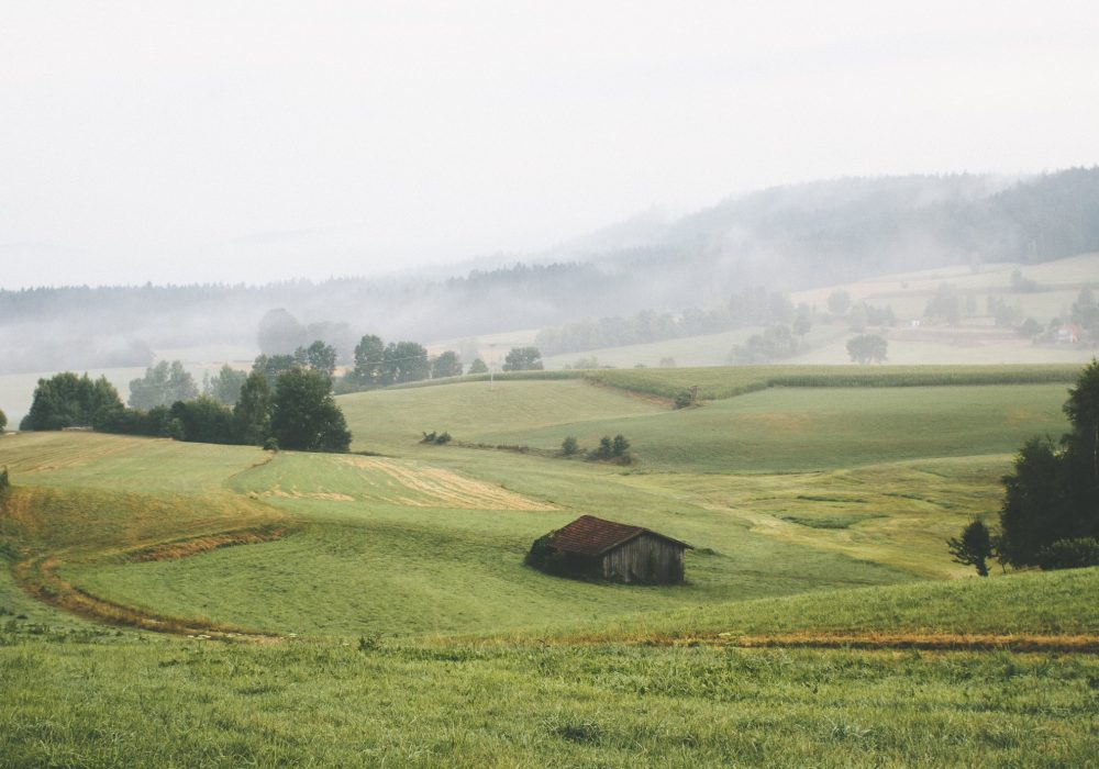 A stone barn in a green valley under low mist